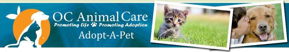 OC Animal Care Logo